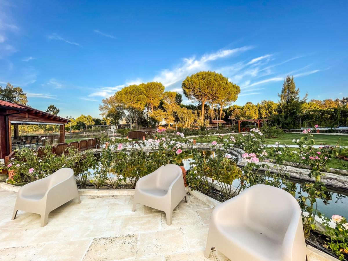 Quinta Do Cutato - Beatriz Guest House - Sotao Santo Estevao  Dış mekan fotoğraf