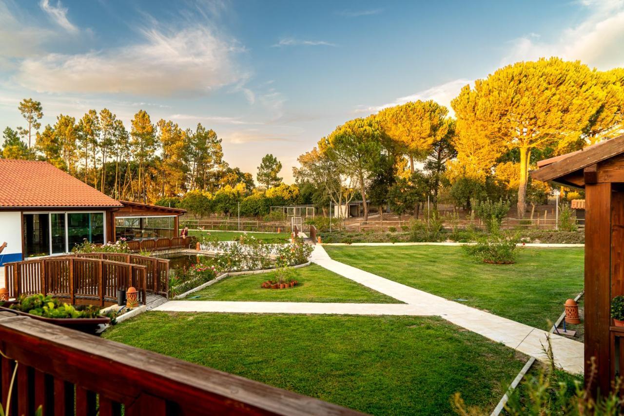Quinta Do Cutato - Beatriz Guest House - Sotao Santo Estevao  Dış mekan fotoğraf